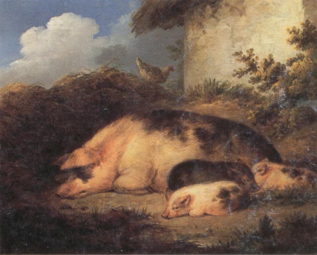 A Sow and Her Piglets